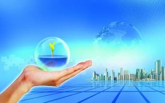 當(dāng)前大學(xué)生的創(chuàng)業(yè)發(fā)展方向,大學(xué)生就業(yè)創(chuàng)業(yè)發(fā)展方向,創(chuàng)新創(chuàng)業(yè)社團(tuán)的發(fā)展方向