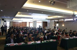 英語特色教育創(chuàng)新創(chuàng)業(yè)