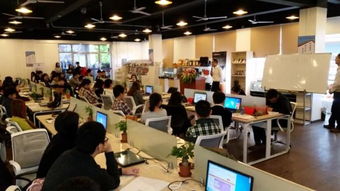 公司創(chuàng)新創(chuàng)業(yè)孵化實訓(xùn)基地