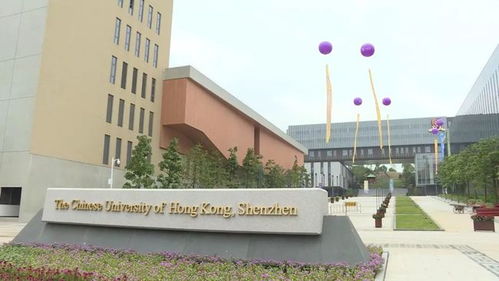 創(chuàng)意,深圳,香港中文,創(chuàng)新