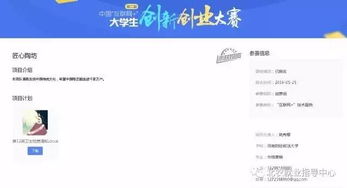 大學(xué)生創(chuàng)新創(chuàng)業(yè)大賽類別和組別