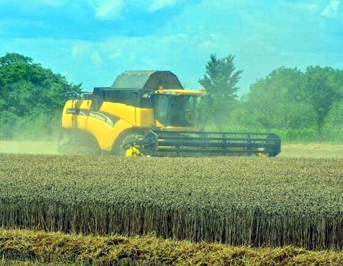 農村,創(chuàng)新,創(chuàng)業(yè),農業(yè)