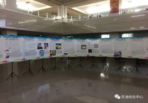 東北石油大學(xué)創(chuàng)新創(chuàng)業(yè)大賽2015,東北石油大學(xué)創(chuàng)新創(chuàng)業(yè)學(xué)院,東北石油大學(xué)互聯(lián)網(wǎng)+大學(xué)生創(chuàng)新創(chuàng)業(yè)大賽