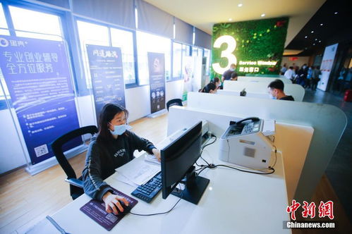 服務咨詢類創(chuàng)新創(chuàng)業(yè)