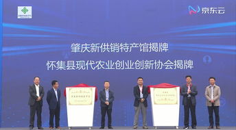 如何進(jìn)行農(nóng)業(yè)創(chuàng)新創(chuàng)業(yè)