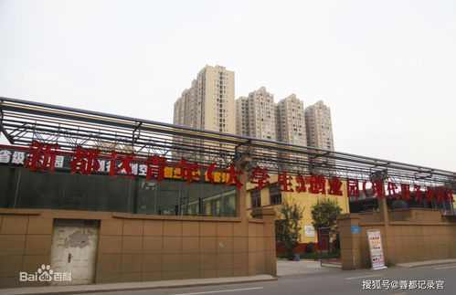 成都大學(xué)生創(chuàng)新創(chuàng)業(yè)園地址