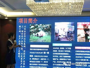 農(nóng)村創(chuàng)業(yè)創(chuàng)新人才申報