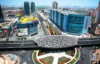 上海市楊浦區(qū)創(chuàng)新創(chuàng)業(yè)激勵,磨子橋創(chuàng)新創(chuàng)業(yè)街區(qū),楊浦區(qū)創(chuàng)新創(chuàng)業(yè)先進個人