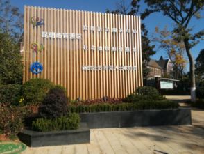 組織,創(chuàng)新,創(chuàng)業(yè),社會