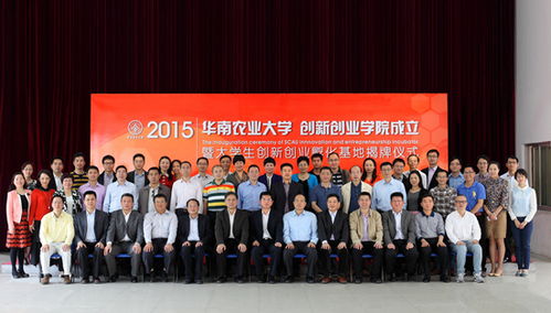 揭牌,儀式,創(chuàng)新,創(chuàng)業(yè)