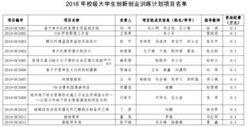 申報(bào)大學(xué)生創(chuàng)新創(chuàng)業(yè)訓(xùn)練計(jì)劃項(xiàng)目,申報(bào)國家級大學(xué)生創(chuàng)新創(chuàng)業(yè)訓(xùn)練計(jì)劃項(xiàng)目時(shí),如何申報(bào)大學(xué)生創(chuàng)新創(chuàng)業(yè)訓(xùn)練計(jì)劃