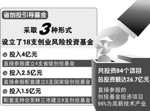 創(chuàng)新創(chuàng)業(yè)項(xiàng)目有什么形式