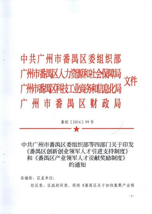 實(shí)施細(xì)則,引進(jìn),創(chuàng)新,創(chuàng)業(yè)