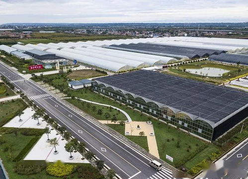 楊凌職業(yè)農(nóng)民創(chuàng)新創(chuàng)業(yè)基地