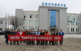 安康市,服務(wù)中心,創(chuàng)新,創(chuàng)業(yè)