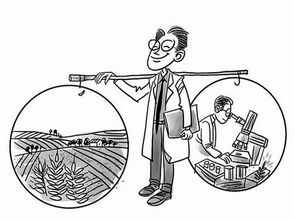 農業(yè)領域創(chuàng)新創(chuàng)業(yè)的打算,農業(yè)創(chuàng)新創(chuàng)業(yè)案例,目前在農業(yè)領域創(chuàng)新創(chuàng)業(yè)的有利因素