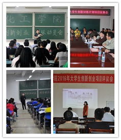 大學(xué)生創(chuàng)新創(chuàng)業(yè)訓(xùn)練計(jì)劃項(xiàng)目申報(bào)書(shū)范文