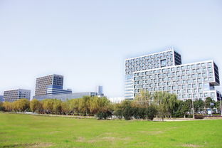 新疆創(chuàng)新創(chuàng)業(yè)園區(qū)