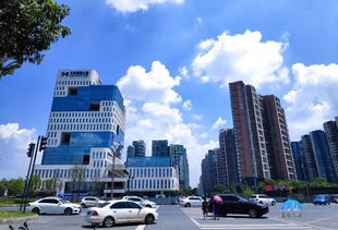 天府新區(qū)創(chuàng)新創(chuàng)業(yè)人才云服務(wù)平臺(tái)賬號(hào),天府新區(qū)創(chuàng)新創(chuàng)業(yè)人才云服務(wù)平臺(tái)注冊(cè),成都市天府新區(qū)創(chuàng)新創(chuàng)業(yè)人才云服務(wù)平臺(tái)