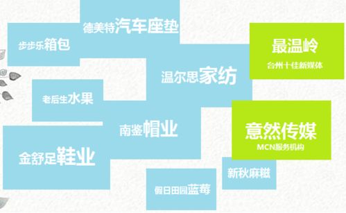 直播帶貨創(chuàng)業(yè)計(jì)劃書(shū)(大學(xué)生版),鄉(xiāng)村直播帶貨創(chuàng)業(yè)計(jì)劃書(shū),直播帶貨syb創(chuàng)業(yè)計(jì)劃書(shū)