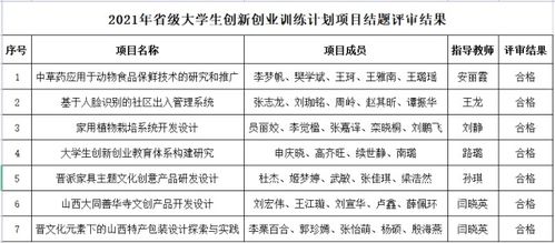 創(chuàng)業(yè)項(xiàng)目,結(jié)題,等級,創(chuàng)新