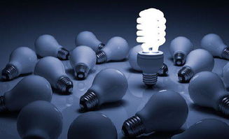 創(chuàng)新與創(chuàng)業(yè)關(guān)系不包括