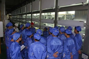 創(chuàng)新創(chuàng)業(yè)教育改革自下而上