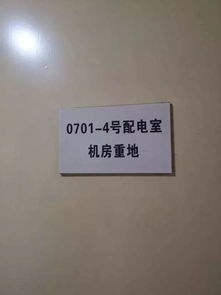 問卷調(diào)查,實(shí)習(xí)報(bào)告,創(chuàng)新,創(chuàng)業(yè)