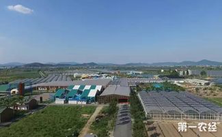 園區(qū),農(nóng)村,創(chuàng)新,創(chuàng)業(yè)