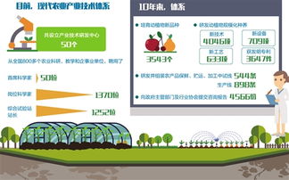一畝三分地創(chuàng)新創(chuàng)業(yè)計(jì)劃書