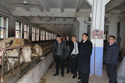 宣漢,科技人員,申報,創(chuàng)新