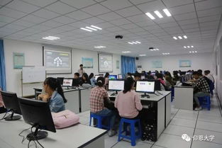 創(chuàng)新,創(chuàng)業(yè),學校,專業(yè)