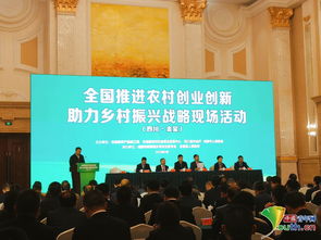 農(nóng)村,創(chuàng)新,創(chuàng)業(yè)
