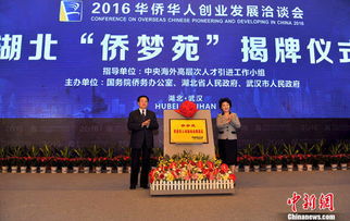 華僑華人創(chuàng)新創(chuàng)業(yè)服務(wù)忠心氛圍布置