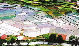 關(guān)于激發(fā)農(nóng)村創(chuàng)新創(chuàng)業(yè)活力堅(jiān)持什么方向