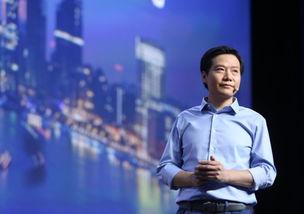 雷軍創(chuàng)業(yè)給我們的啟示,雷軍創(chuàng)業(yè)成功的啟示,從雷軍創(chuàng)業(yè)得到的啟示