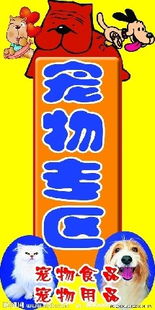 策劃,創(chuàng)新,創(chuàng)業(yè),寵物食品