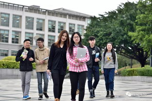 實踐,指導(dǎo),創(chuàng)新,創(chuàng)業(yè)