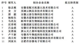 管理團(tuán)隊(duì),創(chuàng)業(yè)項(xiàng)目,創(chuàng)新