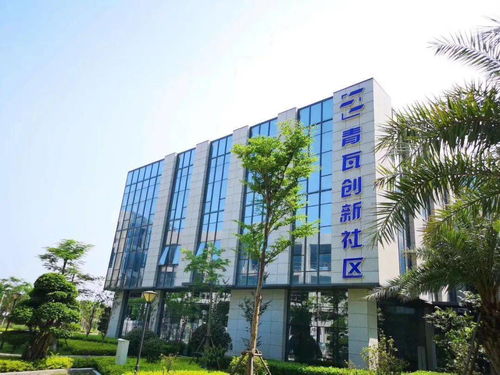 廈門,基本情況,創(chuàng)新,創(chuàng)業(yè)