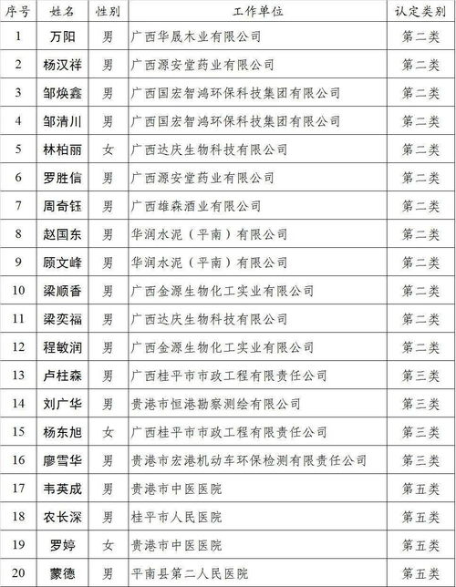 貴港市,申請表,認(rèn)定,創(chuàng)新