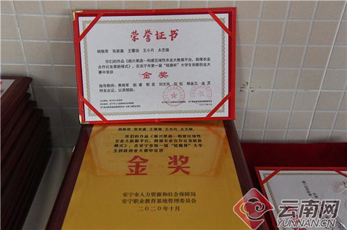 有用嗎,創(chuàng)新,創(chuàng)業(yè),大學生