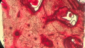 立項(xiàng),證明,創(chuàng)新,創(chuàng)業(yè)