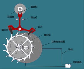創(chuàng)新創(chuàng)業(yè)比賽項(xiàng)目分工有哪些