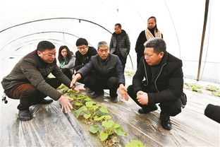 鄉(xiāng)鎮(zhèn)農(nóng)業(yè)科技人員創(chuàng)新創(chuàng)業(yè)機(jī)制