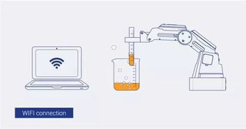 大學(xué)生創(chuàng)新創(chuàng)業(yè)服裝項目概述