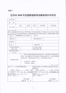 帶動,申請報告,就業(yè),創(chuàng)新