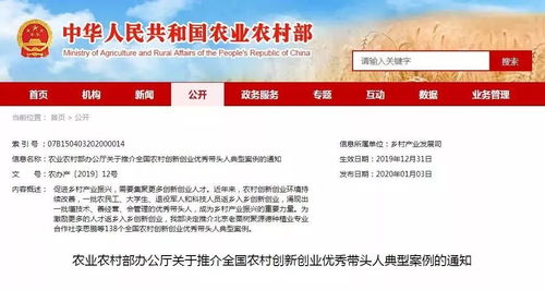 創(chuàng)業(yè)機會,案例,類型,創(chuàng)新