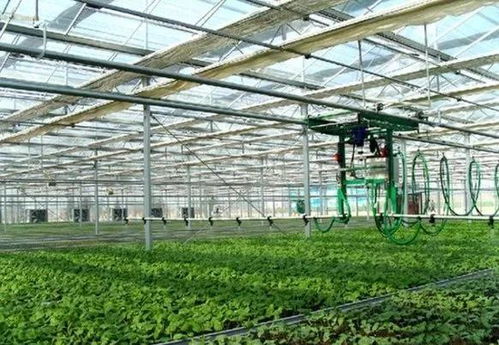 新型經(jīng)營(yíng)主體創(chuàng)業(yè)創(chuàng)新孵化