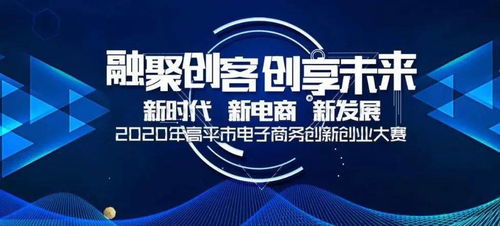 電子商務(wù)創(chuàng)新創(chuàng)業(yè)大賽優(yōu)秀電子